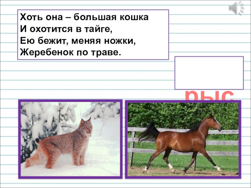Презентация для уроков русского языка по развитию речи Хоть она – большая кошка И охотится в тайге, Ею бежит, Хоть она – большая кошка И охотится в тайге, Ею бежит, меняя ножки, Жеребенок по траве. рысь