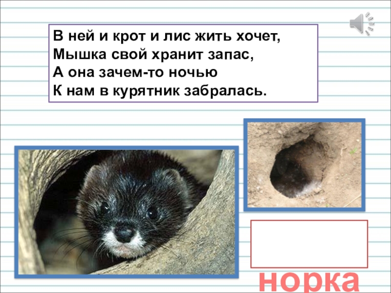 Презентация для уроков русского языка по развитию речи В ней и крот и лис жить хочет, Мышка свой хранит В ней и крот и лис жить хочет, Мышка свой хранит запас, А она зачем-то ночью К