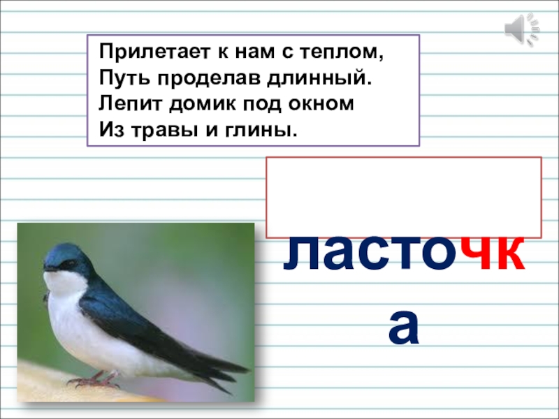 Презентация для уроков русского языка по развитию речи Прилетает к нам с теплом, Путь проделав длинный. Прилетает к нам с теплом, Путь проделав длинный. Лепит домик под окном