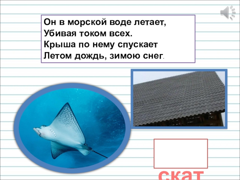 Презентация для уроков русского языка по развитию речи Он в морской воде летает, Убивая током всех. Крыша по нему Он в морской воде летает, Убивая током всех. Крыша по нему спускает Летом дождь, зимою снег. скат