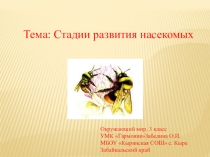 Презентация по ОЗМ 3 класс на тему Стадии развития насекомых