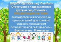 Формирование экологической культуры детей дошкольного возраста посредством познавательной деятельности
