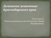 Презентация по кубановедению Домашние животные