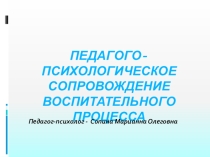 Психолого-педагогическое сопровождение воспитательного процесса