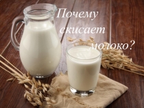 Почему скисает молоко?