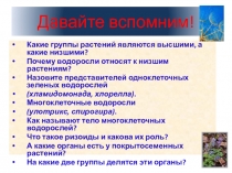 Презентация по биологии 6 класс Строение семени