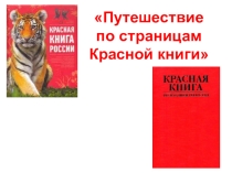Урок Окружающего мира в 4 классе