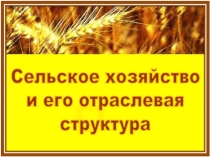 Презентация по географии Сельское хозяйство и его структура