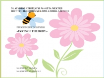 Презентация по английскому языку на тему Parts of the body