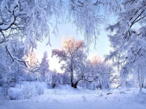 Презентация к открытому занятию в подготовительной группе по речевому развитию Зима