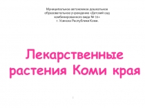 Лекарственные растения Коми края