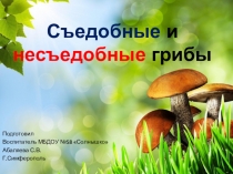 Съедобные и несъедобные грибы