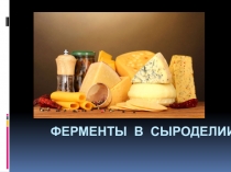 Презентация по химии на тему Ферменты в сыроделии (10 класс)