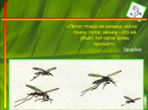 Проектная работа на тему: Комар