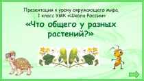 Презентация по окружающему миру на тему Что общего у разных растений? 1 класс УМК Школа России