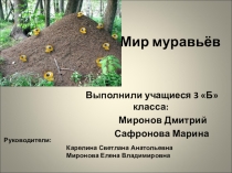 Презентация по окружающему миру на тему Мир муравьев (3 класс)