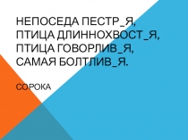 Окончания прилагательных женского рода