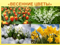 Весенние цветы