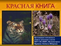 Презентация - Красная книга