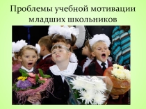 Проблемы мотивации школьников к учебной деятельности