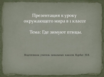 Презентация по окружающему миру на тему Где зимуют птицы (1 класс)