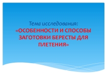 Презентация Заготовка бересты для уроков ИЗО и технологии