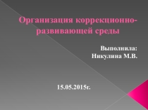 Организация коррекционно-развивающей среды