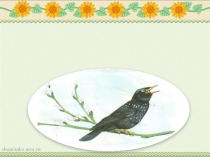 Әдебиеттік оқу. Презентация Қараторғай 4-сынып