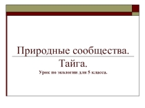 Презентация к уроку экологии по теме Тайга