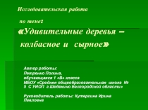 ЭОР Колбасное и сырное деревья