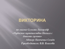 Презентация Викторина к сказке Чудесное путешествие Нильса с дикими гусями