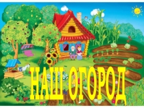 Презентация проекта Наш огород (2 младшая группа)