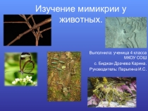 Презентация Мимикрия у животных