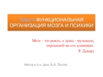 Общая психология. Лекция 4 Функциональная организация мозга и психики Презентация