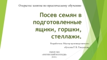 Презентация по ПМ.01 Выращивание цветочно-декоративных культур в открытом и защищенном грунте. МДК 01.01. Технология выращивания цветочно-декоративных культур Посев семян в подготовленные ящики, горшки, стеллажи