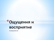 Презентация по психологии на тему Ощущения и восприятие