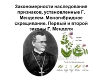 Презентация к уроку биологии 9 класс Основные понятия генетики