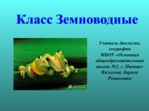Презентация по биологии Земноводные (7 класс)