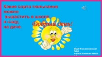 Презентация по биологии Какие сорта тюльпанов можно посадить в школе,в саду,на даче