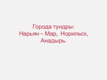 Презентация по географии 7 класс Города тундры. Норьян - Мар, Норильск, Анадырь