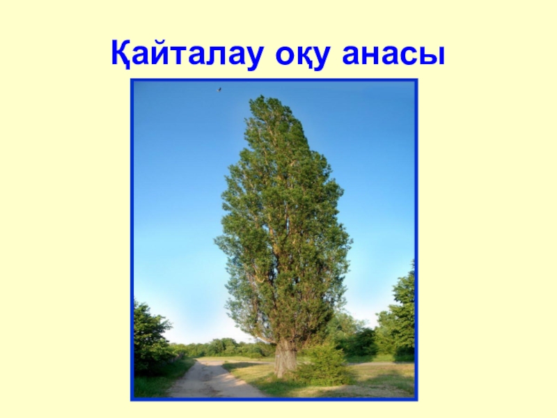 Презентация по казахскому языку на тему Буын түрлері Қайталау оқу анасы Қайталау оқу анасы