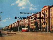 Улицы героев труда (Курако)