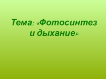 Презентация Фотосинтез и дыхание