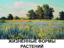 Презентация по биологии на тему Жизненные формы растений (7 класс)