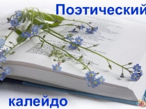 Презентация к литературному конкурсу Поэтический калейдоскоп.