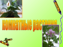 Презентация по математике 3 класс