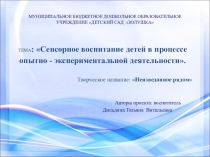 Презентация Сенсорное воспитание детей в процессе экспериментальной деятельности