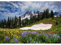 Презентация к уроку русского языка  Сочинение по наблюдениям Ранняя весна.