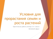 Презентация по окружающему миру Условия для прорастания семян и роста растений (практическая работа 1)