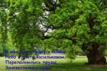 Обобщающий урок математики в 5 классе.